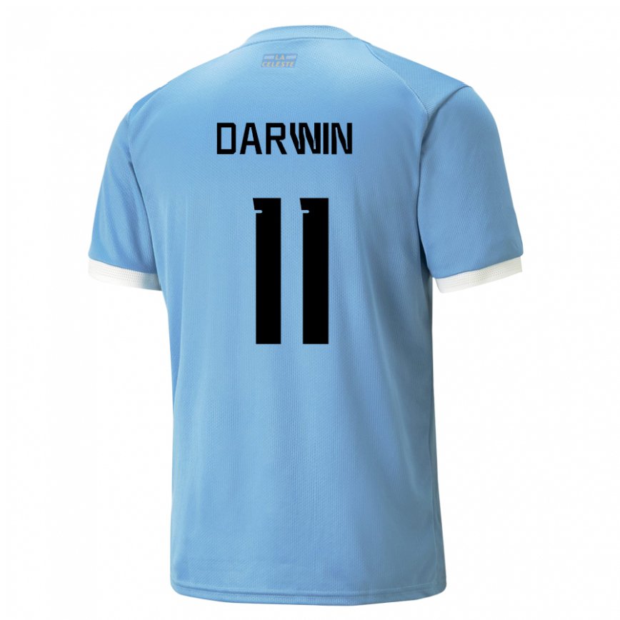 Niño Camiseta Uruguay Darwin Nunez #11 Azul 1ª Equipación 22-24