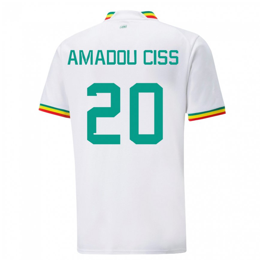 Niño Camiseta Senegal Amadou Ciss #20 Blanco 1ª Equipación 22-24