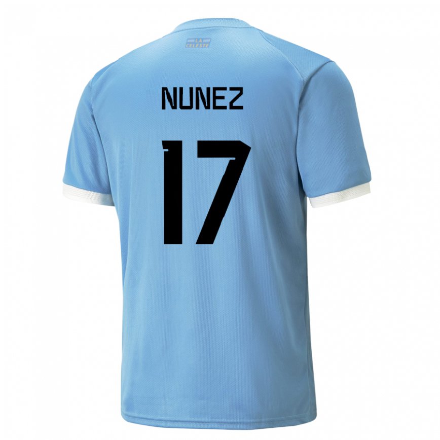 Niño Camiseta Uruguay Facundo Nunez #17 Azul 1ª Equipación 22-24