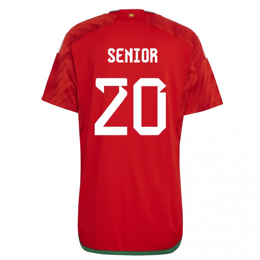 Niño Camiseta Gales Matt Senior #20 Rojo 1ª Equipación 22-24