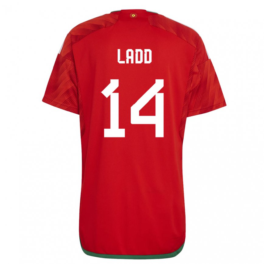 Hombre Camiseta Gales Hayley Ladd #14 Rojo 1ª Equipación 22-24