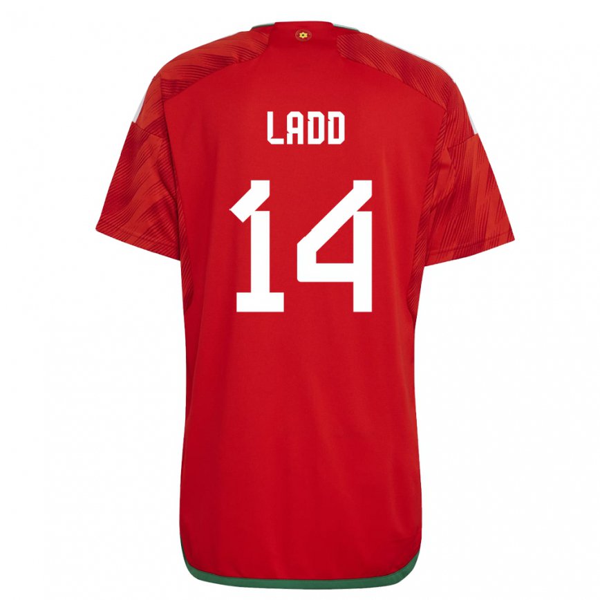 Mujer Camiseta Gales Hayley Ladd #14 Rojo 1ª Equipación 22-24