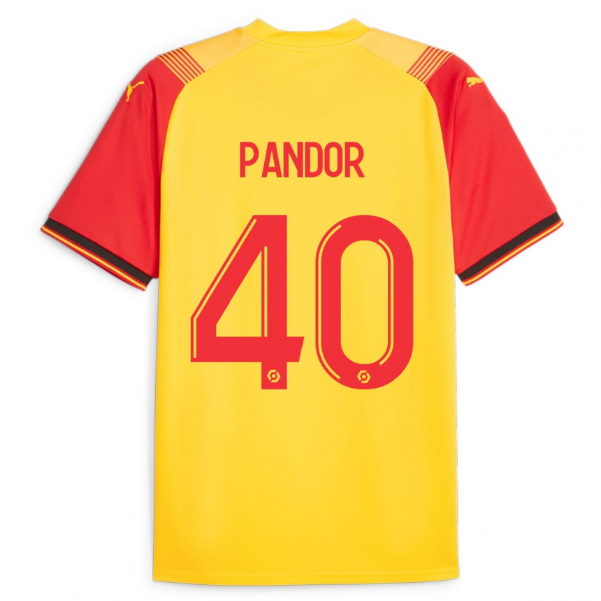 Hombre Fútbol Camiseta Yannick Pandor #40 Amarillo 1ª Equipación 2023/24