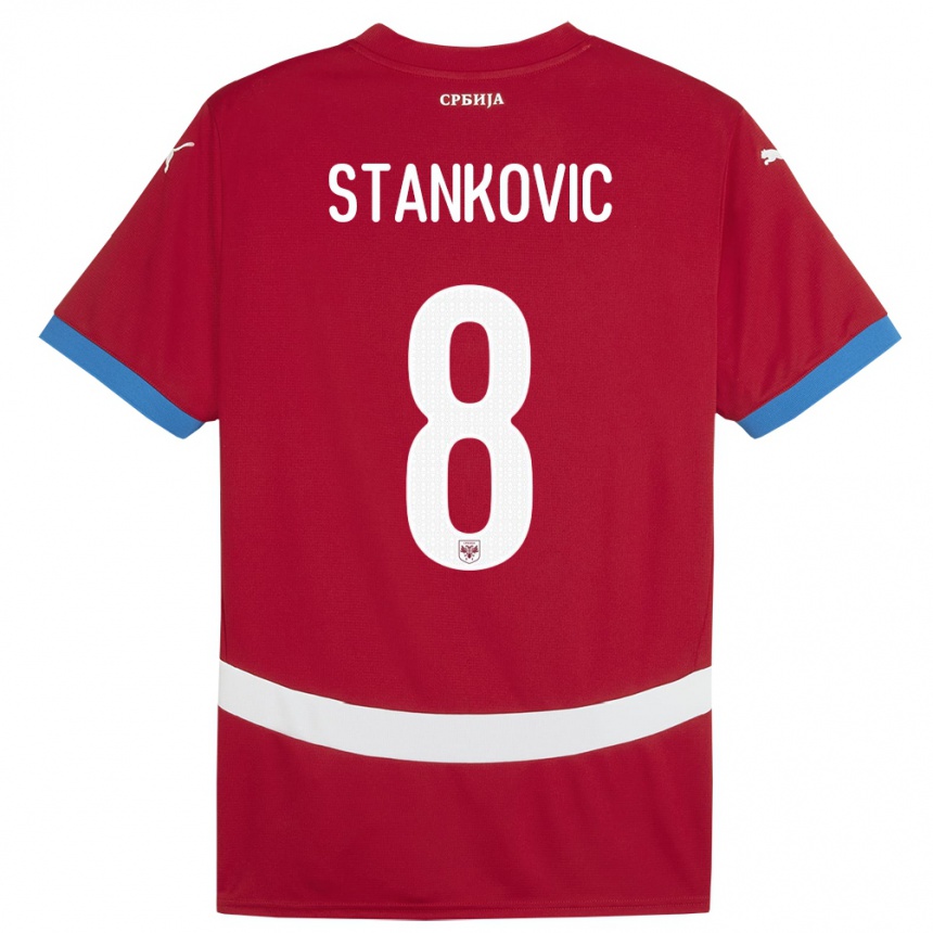 Niño Fútbol Camiseta Serbia Nikola Stankovic #8 Rojo 1ª Equipación 24-26