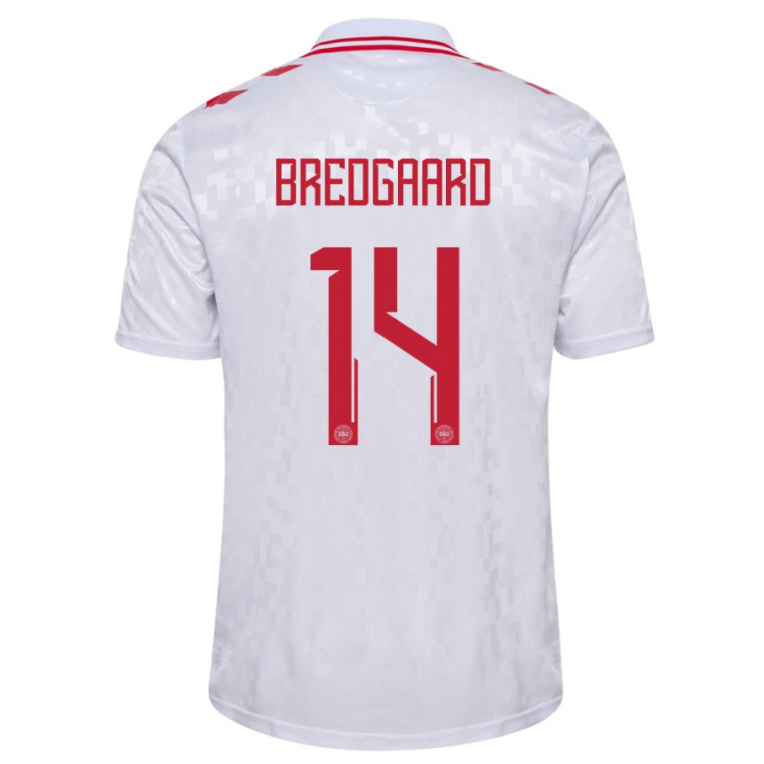 Niño Fútbol Camiseta Dinamarca Sofie Bredgaard #14 Blanco 2ª Equipación 24-26