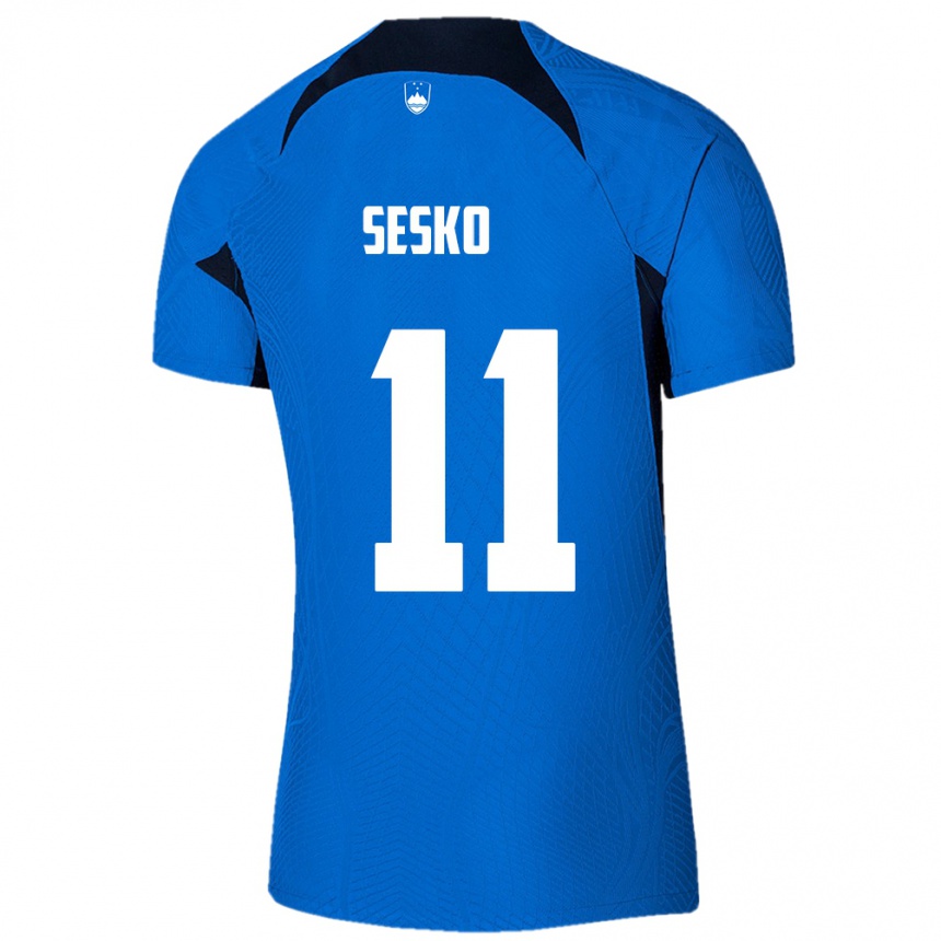 Hombre Fútbol Camiseta Eslovenia Benjamin Sesko #11 Azul 2ª Equipación 24-26