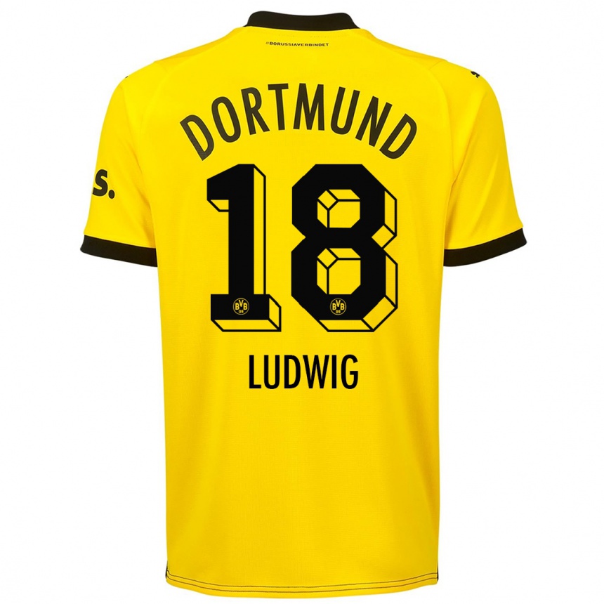 Hombre Fútbol Camiseta Michel Ludwig #18 Amarillo 1ª Equipación 2023/24