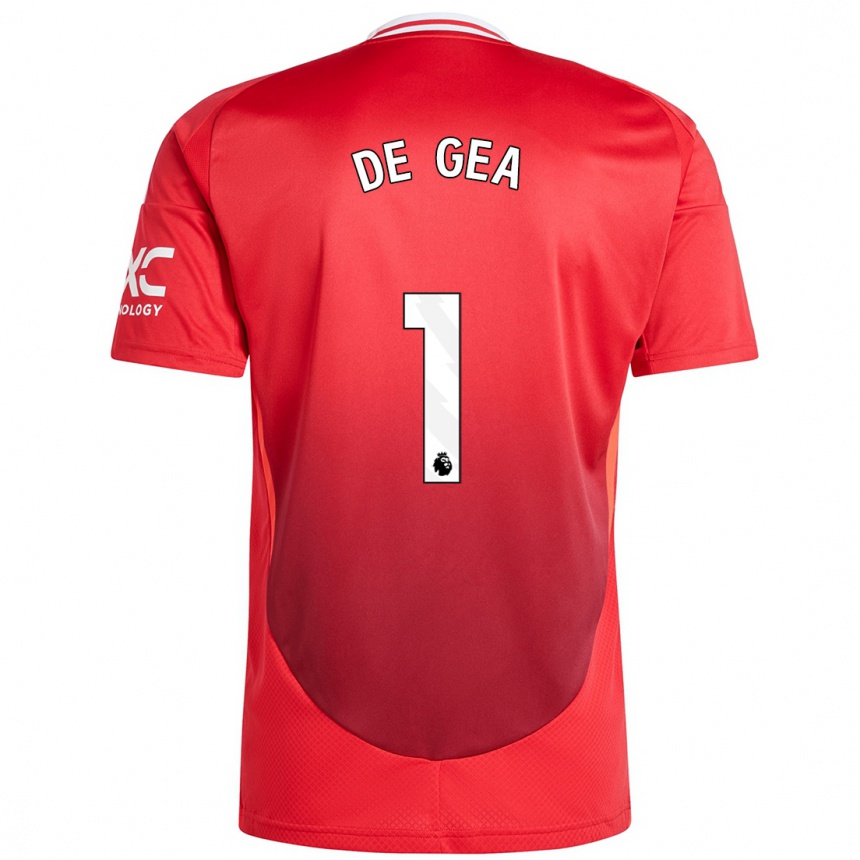 Niño Fútbol Camiseta David De Gea #1 Rojo Brillante 1ª Equipación 2024/25