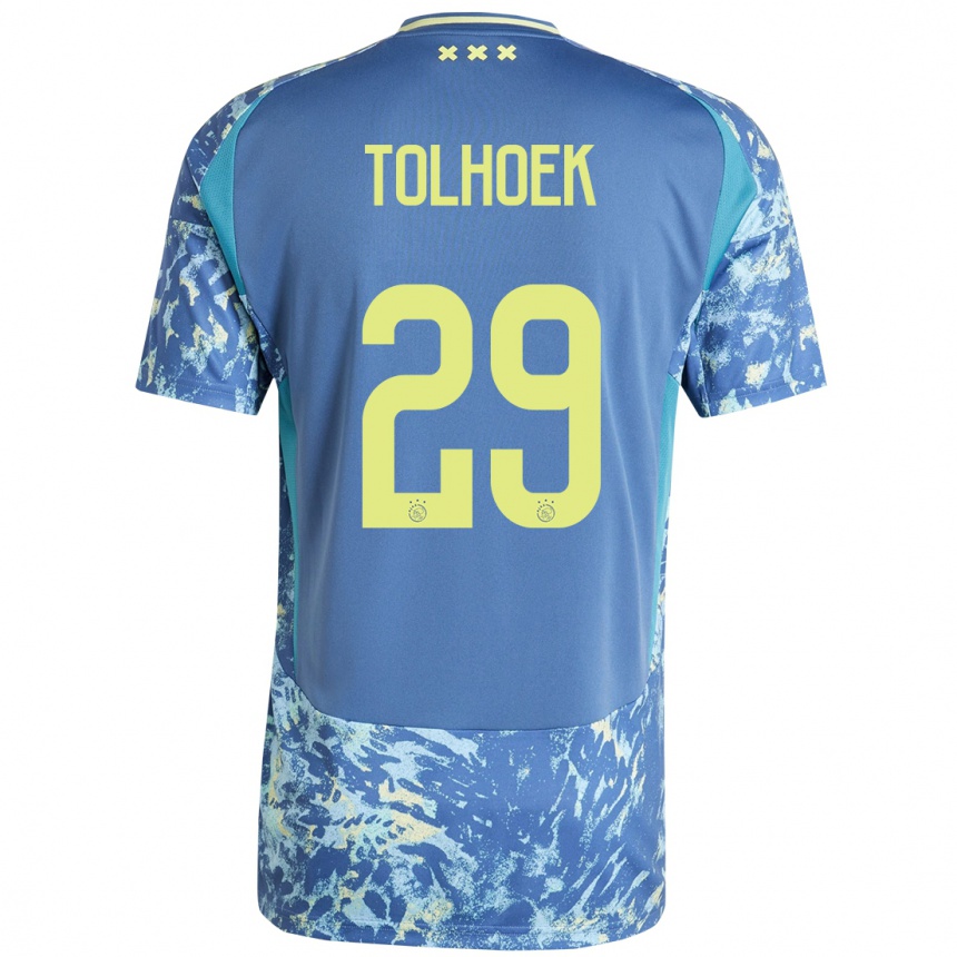 Niño Fútbol Camiseta Danique Tolhoek #29 Gris Azul Amarillo 2ª Equipación 2024/25